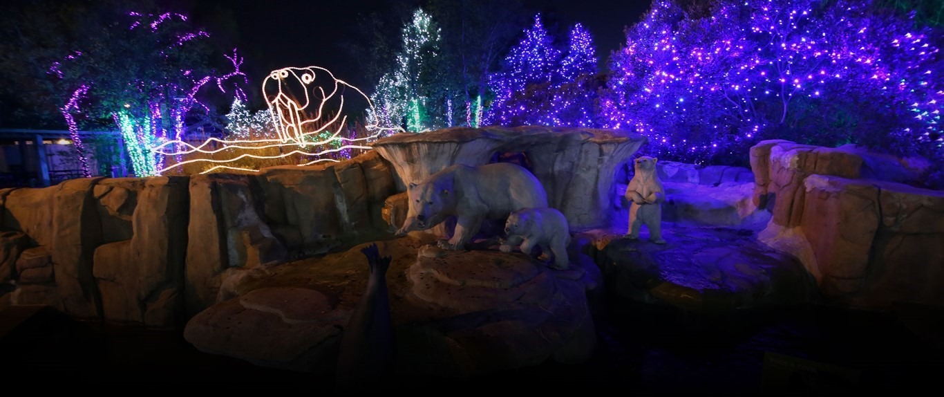 Toledo Zoo's Lights Before Christmas Spring Arbor University