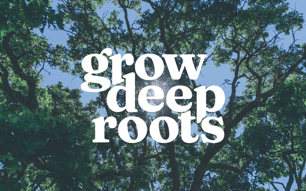 Spring Arbor University announces new brand promise: Grow Deep Roots