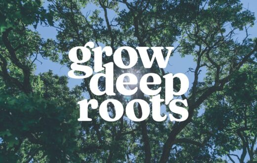 Grow Deep Roots